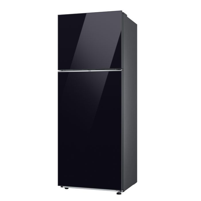 Samsung 465L Top Mount Refrigerator R47CB663122